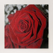美しく赤いバラ ジグソーパズル (縦)