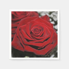 美しく赤いバラ スタンダードカクテルナプキン