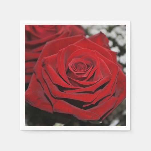 美しく赤いバラ スタンダードカクテルナプキン (正面)