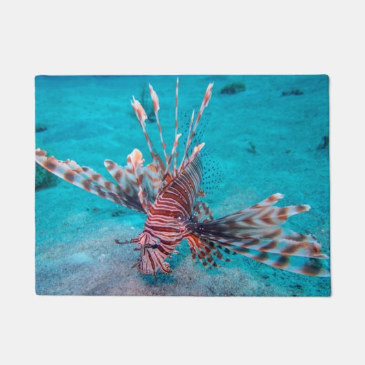 美しく赤いライオンの魚 ドアマット (正面)
