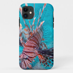 美しく赤いライオンの魚 iPhone 11 ケース