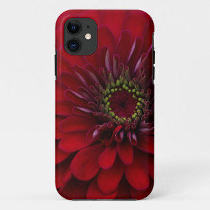 美しく赤い庭の《植物》百日草の花 iPhone 11 ケース