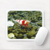 美しく赤い蜂のエビのギフトショップ マウスパッド (マウス)