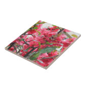 美しく赤く日本のなマルメロ タイル (側面)