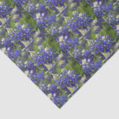 美しく青い春のBluebonnetのテキサス州の州花 薄葉紙 (詳細)