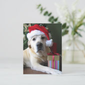 美しく黄色いラブラドールサンタ シーズンポストカード (スタンド正面)
