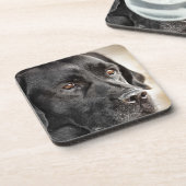 美しく黒いラブラドル・レトリーバー犬犬のデザイン コースター (左側)