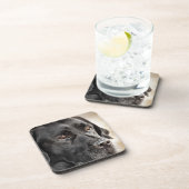 美しく黒いラブラドル・レトリーバー犬犬のデザイン コースター (右側)