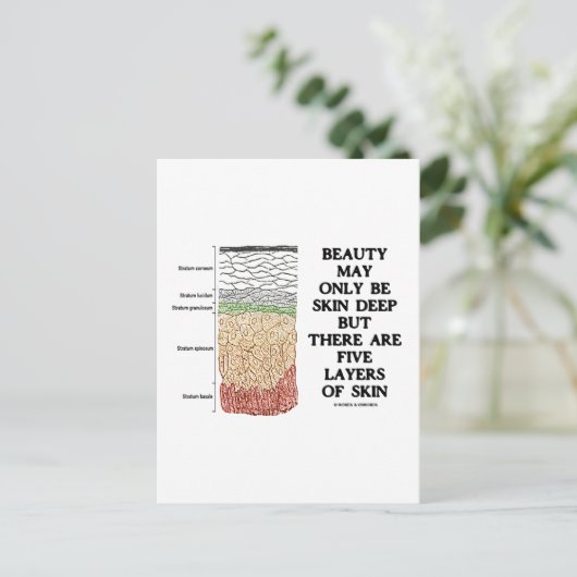 美しさは肌の深さに過ぎないかもしれないが、肌には5つの層がある ポストカード (スタンド正面)