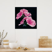 美しエレガントいピンクのマレーバラ花 ポスター (キッチン)