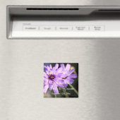 美しエレガントい紫のデイジー日付を保存 マグネット (インサイチュ (食洗機))