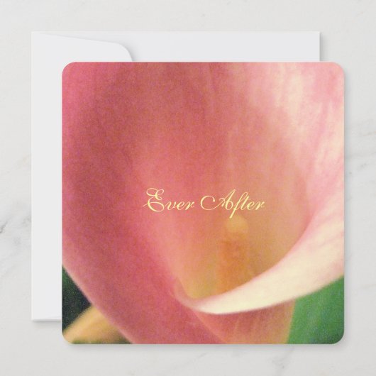 美しエレガント淡い色のいピンクのカ結婚ラリ 招待状 (裏面)