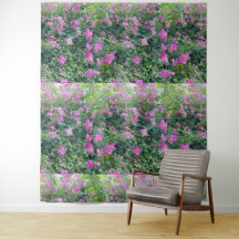 美しカラフルい花