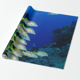 美しカラフルい魚 |海最高の生の賜物 ラッピングペーパー