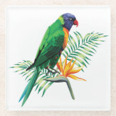 美しカラフルい鸚鵡と花 ガラスコースター (正面)