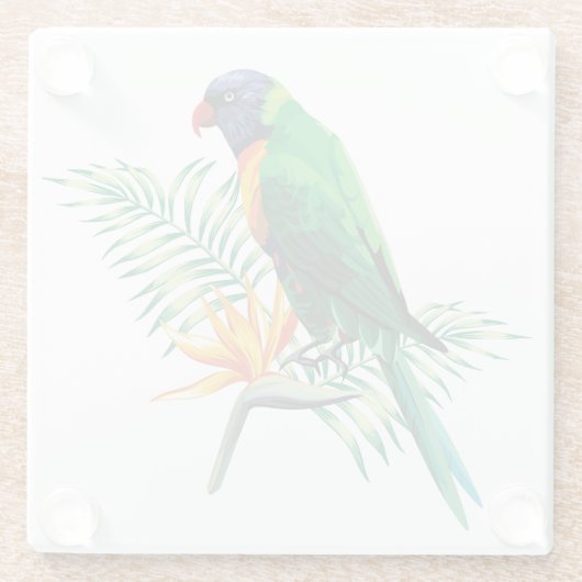 美しカラフルい鸚鵡と花 ガラスコースター (裏面)