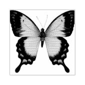美しファンシーい蝶 ラバースタンプ (インプリント)