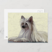 美し中国のい紋付きパウダーパフ ポストカード (正面/裏面)