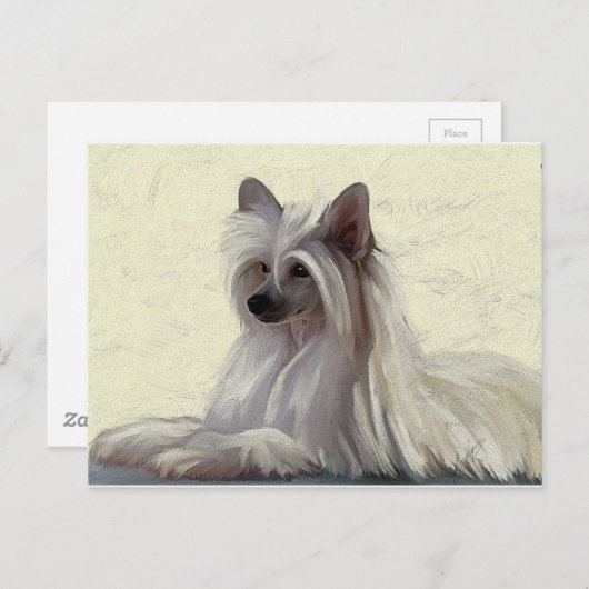 美し中国のい紋付きパウダーパフ ポストカード (正面/裏面)