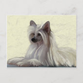 美し中国のい紋付きパウダーパフ ポストカード (正面)