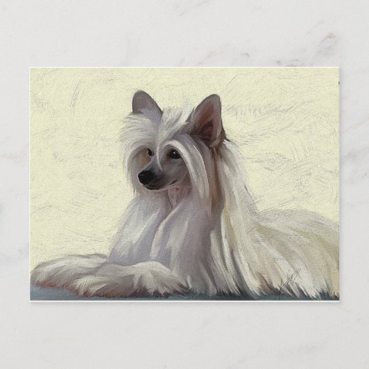 美し中国のい紋付きパウダーパフ ポストカード (正面)