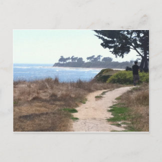 美し澄んい空のビーチ。 ポストカード