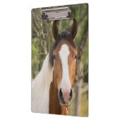 美し絵を描い馬 クリップボード (左)