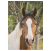 美し絵を描い馬 クリップボード (裏面)