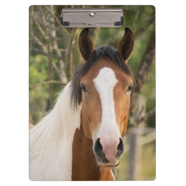 美し絵を描い馬 クリップボード