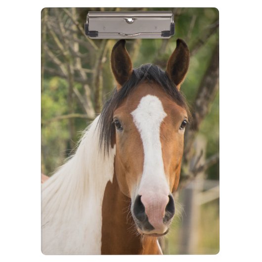 美し絵を描い馬 クリップボード (正面)