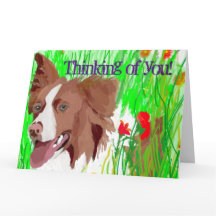 美し縁どいコリーが愛を