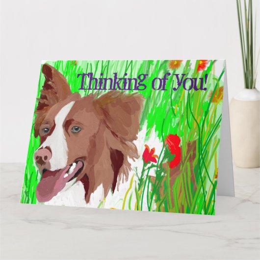 美し縁どいコリーが愛を カード (正面)