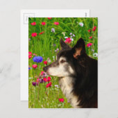 美し縁どい花付きバレンタイン シーズンポストカード (正面/裏面)