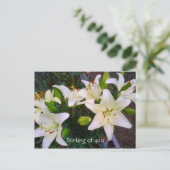 美し考えい白ゆり葉書 ポストカード (スタンド正面)