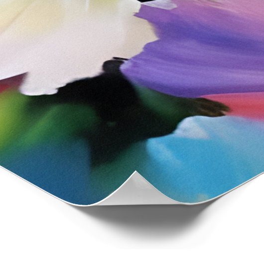 美し色彩の鮮やかい花 ポスター (角)