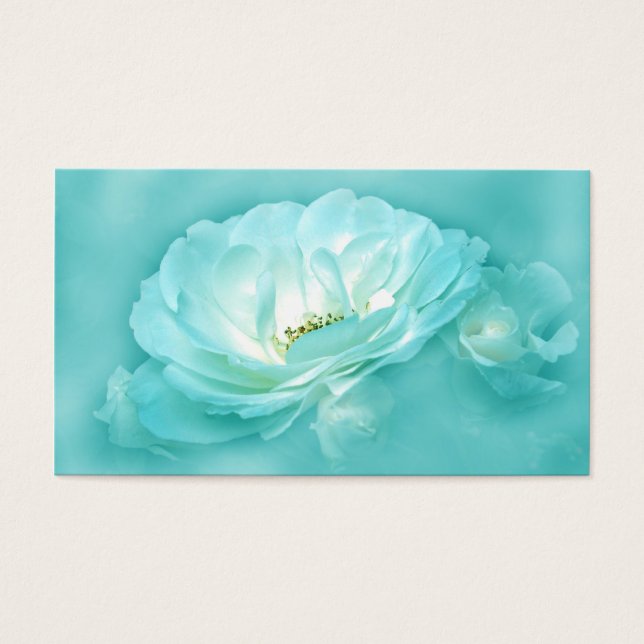 美ウマ科のしい (正面)