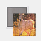 美ウマ科のしい マグネット (正面/裏面)