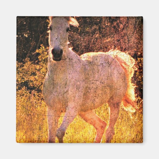 美ウマ科のしい マグネット (正面)