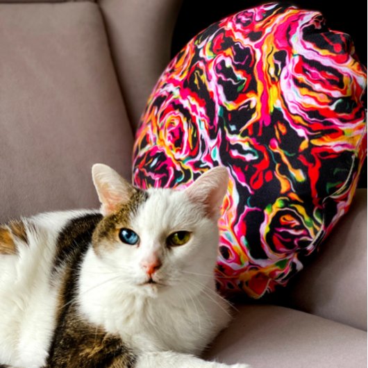 美カッコいいカラフルファンキー ラウンドクッション