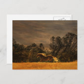 美ランニングしいのパロミノ ポストカード (正面/裏面)