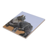 美リラックスしい猫 タイル (側面)