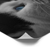 美信じしい猫の引用文 ポスター (角)