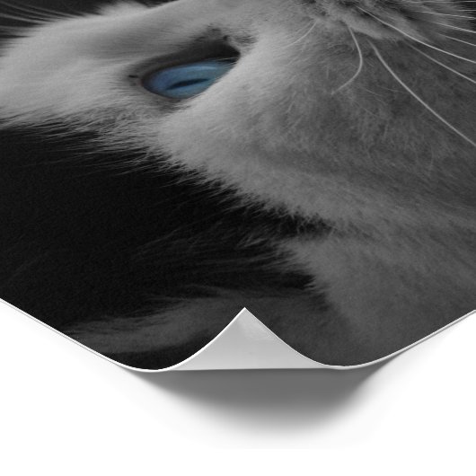 美信じしい猫の引用文 ポスター (角)