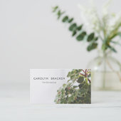 美化するモダンな最小主義の創造的な植物| 名刺 (スタンド正面)