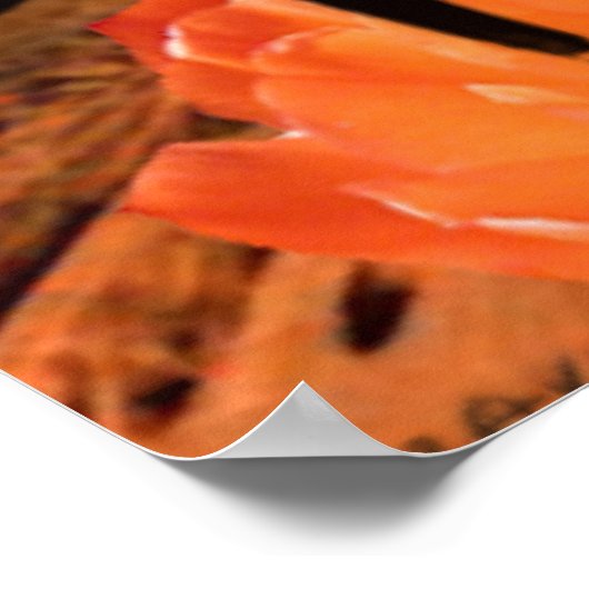 美呂生 ポスター (角)