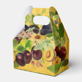 美味しいセルビアのプラム(ヴィンテージ版) フェイバーボックス (裏面サイド)