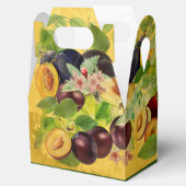 美味しいセルビアのプラム(ヴィンテージ版) フェイバーボックス (オープン)