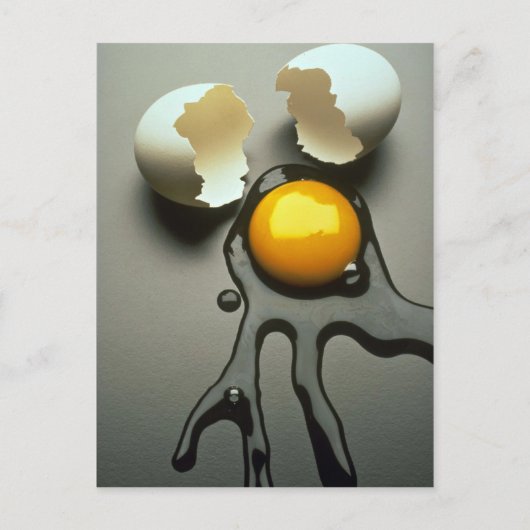 美味しい割れた卵 ポストカード (正面)