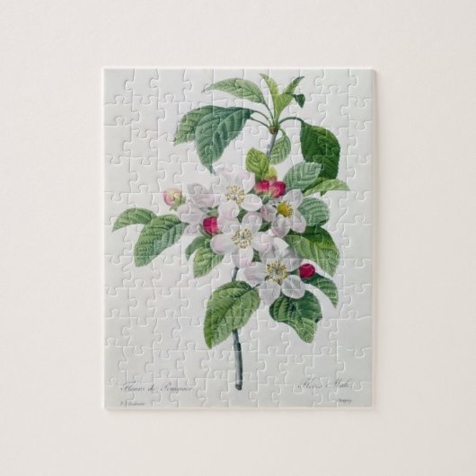 「美女とLes Choix desからのAppleの花、 ジグソーパズル (縦)