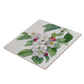 「美女とLes Choix desからのAppleの花、 タイル (側面)